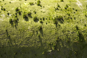 landscape imagination