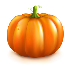 Orange Pumpkin