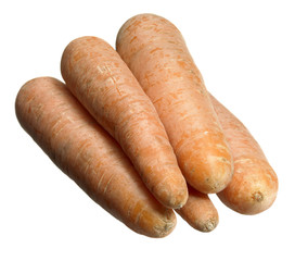 carrots in white back