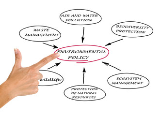 Diagram of environmental policy