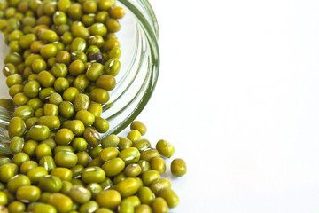 mung bean in a bottle