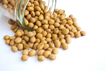 soybean in bottle isolated on white background