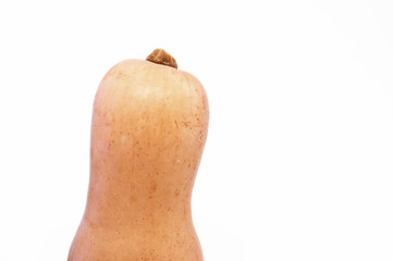 Top of a Butternut Squash against a White Background