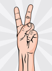 The Victory sign, hand gesture