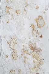 mold