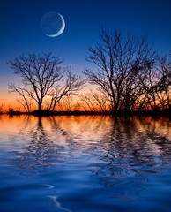 dusk landscape