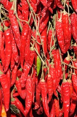 Red pepper