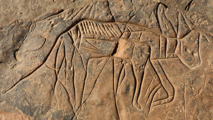 Rock Engraving in the Desert