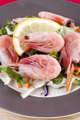 Garnelen mit einer Zitronenscheibe und Salat auf einem Teller