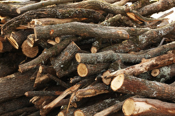 Pile of catted fire wood