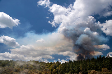 Waldbrand im Wai-o-Tapu Geothermal Gebiet