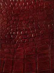 leather texture closeup