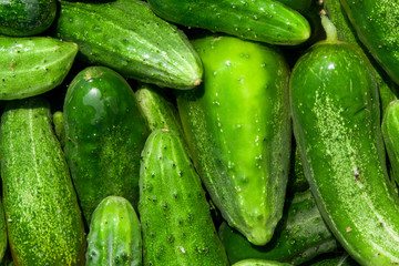 cucumbers