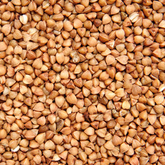 buckwheat;
