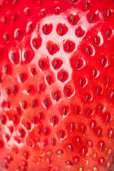 macro strawberry