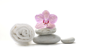 pink orchid on stones with roller towel