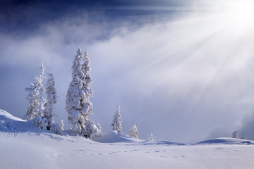 Beautiful winter landscape in the mountains