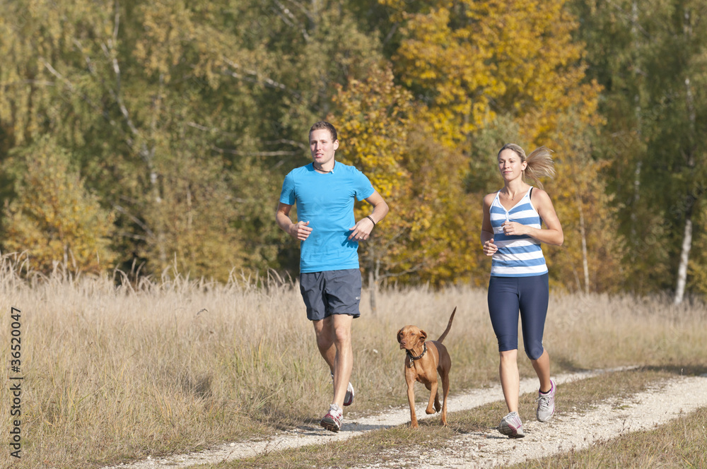 Wall mural Joggen mit Hund