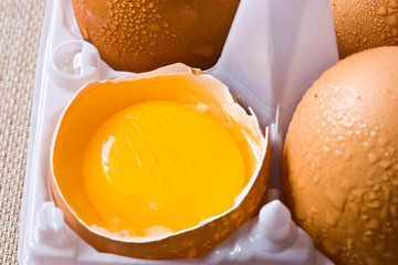 egg yolk