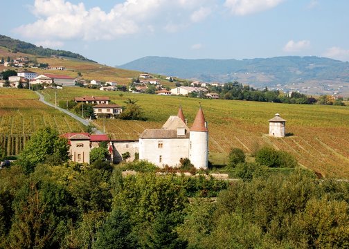 Ch&acirc;teau dans les vignes sur les collines du Beaujolais