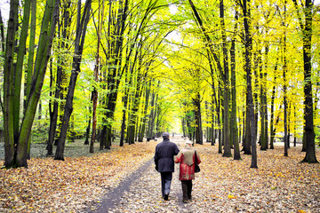 Fototapeta premium Senior couple in the park