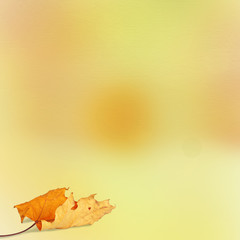 Bright autumn leaves on the abstract background with bokeh