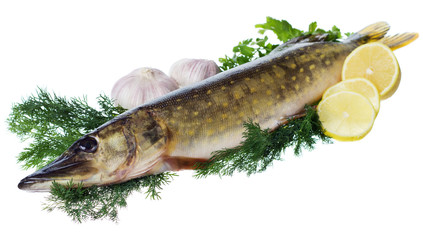 Raw pike with cooking ingredients