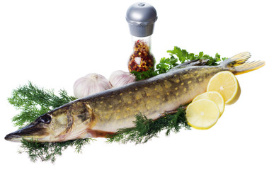 Raw pike with cooking ingredients