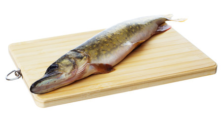 Raw pike with cooking ingredients