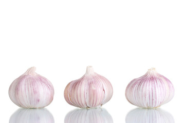fresh garlic isolated on white