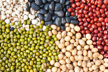 Various colorful dried legumes beans as background