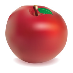 Apple Isolated