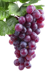red wine grape, isolated