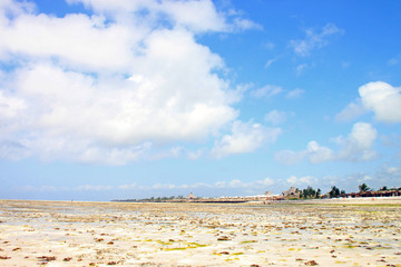 Spiaggia di Watamu, Kenia