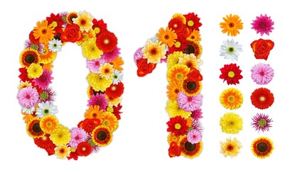 Numbers 0 and 1 made of various flowers
