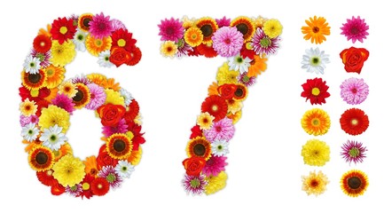 Numbers 6 and 7 made of various flowers