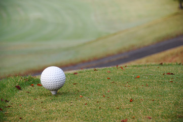 ティーグランド