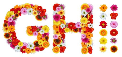 Characters G and H made of various flowers