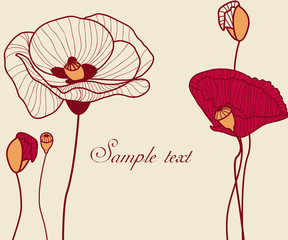 Poppies