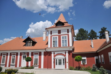 Fototapeta na wymiar beautiful medieval castle in Vojvodina, Ecka