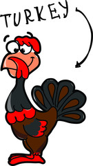 мультфильм индейки