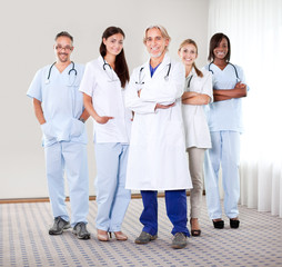 Portrait of a group of mature doctors