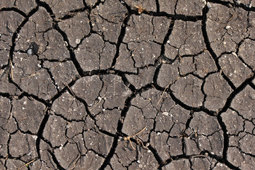 Dry cracked earth