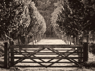 Old Wooden Farm Gate on Farmland
