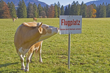 Zweckentfremdet