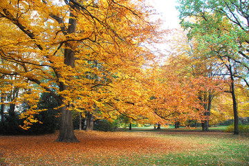 Sch&ouml;ner Herbstblick