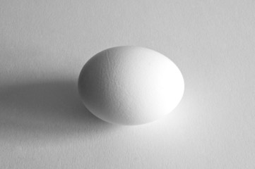 Fototapeta na wymiar Any egg