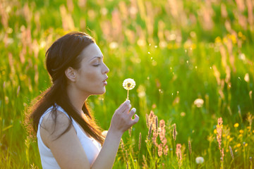 Summer Meadow