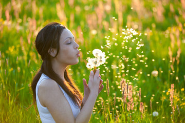 Summer Meadow