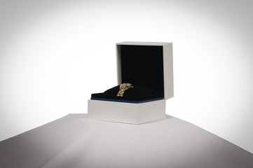 Gold Watch in its box